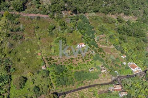 Helårsgrund i Santana, Madeira, Santana - € 120.000 | Ref: KWPT-007894 - foto 5