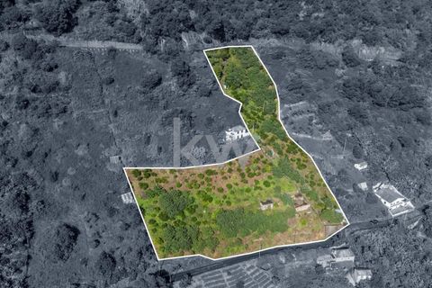 Helårsgrund i Santana, Madeira, Santana - € 120.000 | Ref: KWPT-007894 - foto 6