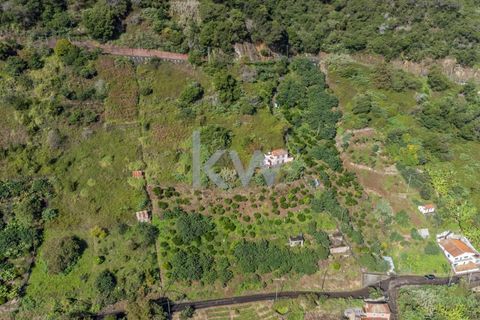 Helårsgrund i Santana, Madeira, Santana - € 120.000 | Ref: KWPT-007894 - foto 7