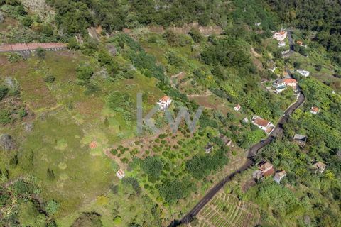 Helårsgrund i Santana, Madeira, Santana - € 120.000 | Ref: KWPT-007894 - foto 8
