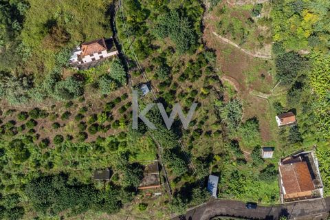 Helårsgrund i Santana, Madeira, Santana - € 120.000 | Ref: KWPT-007894 - foto 9