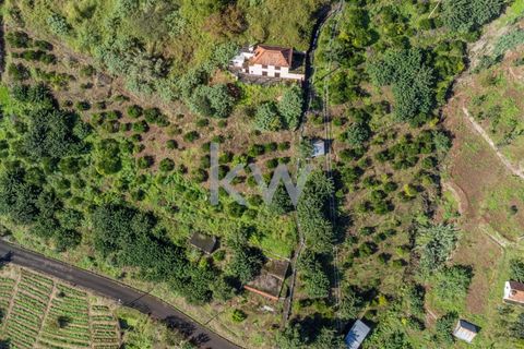 Helårsgrund i Santana, Madeira, Santana - € 120.000 | Ref: KWPT-007894 - foto 10