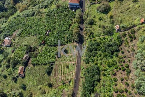 Helårsgrund i Santana, Madeira, Santana - € 120.000 | Ref: KWPT-007894 - foto 11