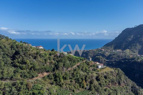 Helårsgrund i Santana, Madeira, Santana - € 120.000 | Ref: KWPT-007894 - foto 15