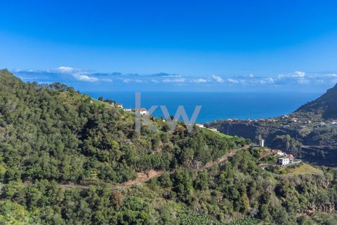 Helårsgrund i Santana, Madeira, Santana - € 120.000 | Ref: KWPT-007894 - foto 16