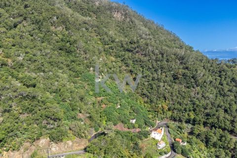 Helårsgrund i Santana, Madeira, Santana - € 120.000 | Ref: KWPT-007894 - foto 17