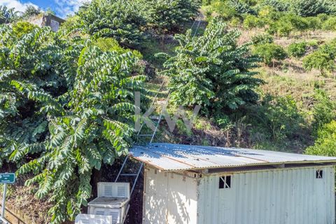 Helårsgrund i Santana, Madeira, Santana - € 120.000 | Ref: KWPT-007894 - foto 19