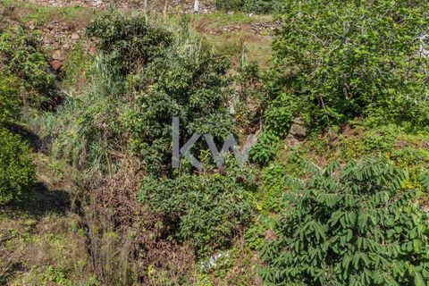 Helårsgrund i Santana, Madeira, Santana - € 120.000 | Ref: KWPT-007894 - foto 20