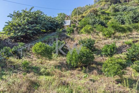 Helårsgrund i Santana, Madeira, Santana - € 120.000 | Ref: KWPT-007894 - foto 21