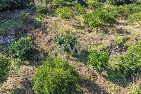 Helårsgrund i Santana, Madeira, Santana - € 120.000 | Ref: KWPT-007894 - foto 22