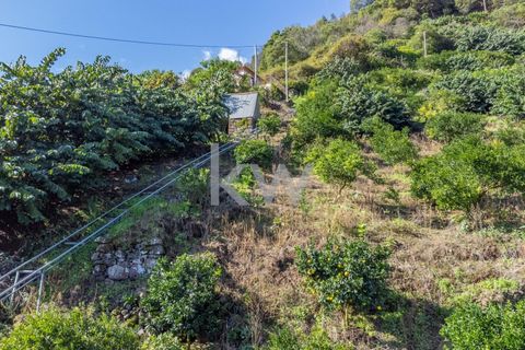 Helårsgrund i Santana, Madeira, Santana - € 120.000 | Ref: KWPT-007894 - foto 23