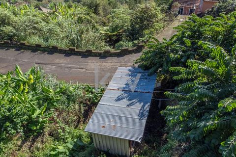 Helårsgrund i Santana, Madeira, Santana - € 120.000 | Ref: KWPT-007894 - foto 24