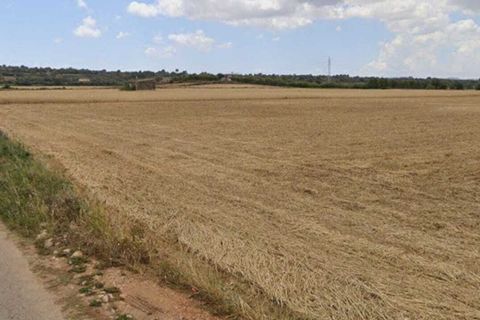 Terra a Manacor, Mallorca, Manacor - € 200.000 | Ref: FALC-AdFl-62153 - foto 2