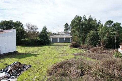 Terra a Fafe, Braga, Fafe - € 335.000 | Ref: 121751324-204 - foto 3