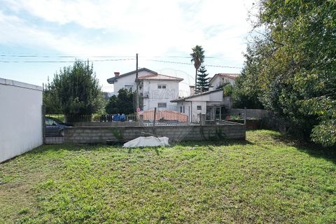 Terra a Fafe, Braga, Fafe - € 335.000 | Ref: 121751324-204 - foto 6