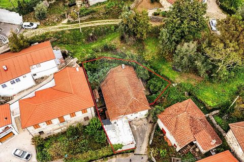 Villa i Cabeceiras de Basto, Braga, Cabeceiras de Basto - € 59.000 | Ref: 126311008-9 - foto 4