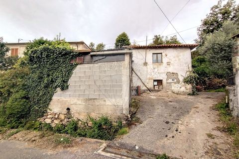 Villa i Cabeceiras de Basto, Braga, Cabeceiras de Basto - € 59.000 | Ref: 126311008-9 - foto 5