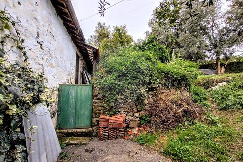 Villa i Cabeceiras de Basto, Braga, Cabeceiras de Basto - € 59.000 | Ref: 126311008-9 - foto 11