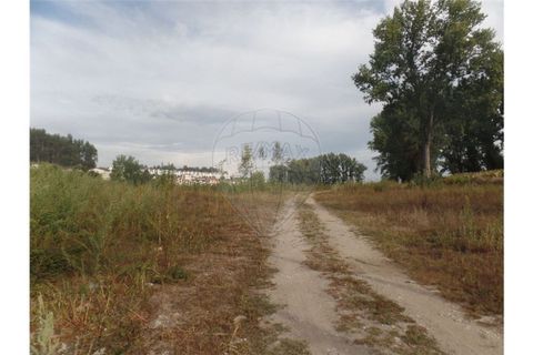 Helårsgrund i Braga, Braga, Braga - € 295.000 | Ref: 123331051-285 - foto 6