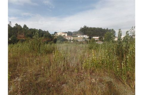 Helårsgrund i Braga, Braga, Braga - € 295.000 | Ref: 123331051-285 - foto 9