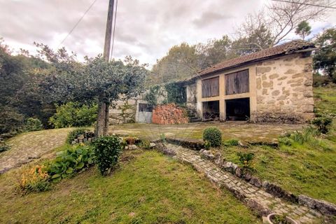 Villa i Cabeceiras de Basto, Braga, Cabeceiras de Basto - € 850.000 | Ref: 126311008-16 - foto 14