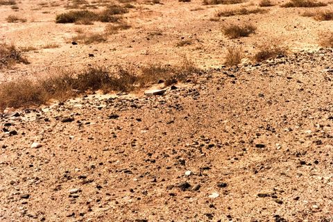 Tomt i Lajares, Fuerteventura, Lajares - € 169 000 | Ref: #SMVPTPLOTLAJA9-2023 - foto 23