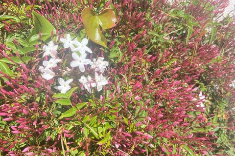 Villa i Odiaxere, Faro, Odiaxere - € 2.199.000 | Ref: M3723 - foto 49