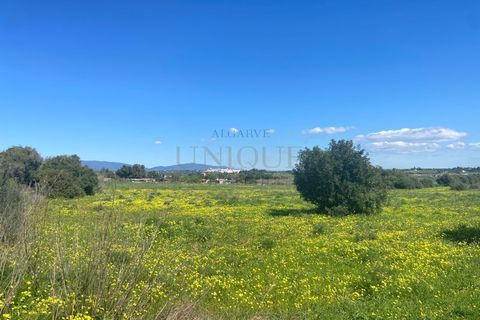 Villa i Odiaxere, Faro, Odiaxere - € 2.199.000 | Ref: M3723 - foto 10