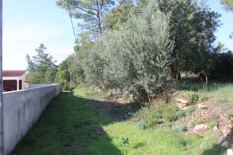 Helårsgrund i Coimbra, Coimbra, Coimbra - € 67.500 | Ref: CB05-01 - foto 1