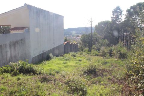 Helårsgrund i Coimbra, Coimbra, Coimbra - € 67.500 | Ref: CB05-01 - foto 3