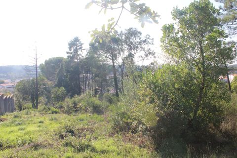 Helårsgrund i Coimbra, Coimbra, Coimbra - € 67.500 | Ref: CB05-01 - foto 4