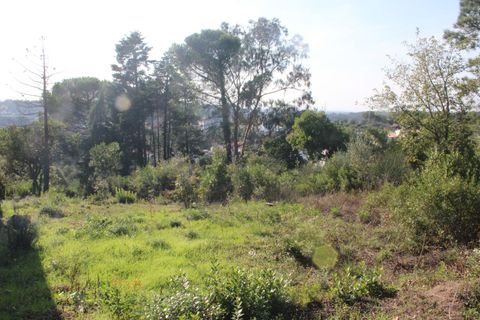 Helårsgrund i Coimbra, Coimbra, Coimbra - € 67.500 | Ref: CB05-01 - foto 6