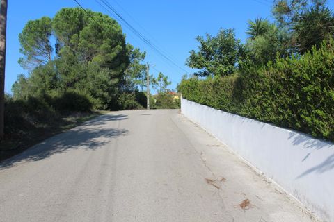 Helårsgrund i Coimbra, Coimbra, Coimbra - € 67.500 | Ref: CB05-01 - foto 7