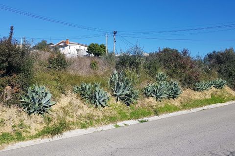 Helårsgrund i Coimbra, Coimbra, Coimbra - € 165.000 | Ref: CB05-21 - foto 2