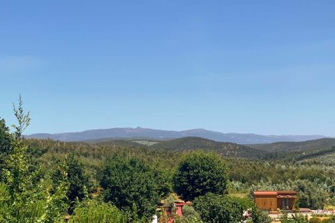 Tomt i Mortagua, Viseu, Mortagua - € 50 000 | Ref: CB05-54 - foto 2