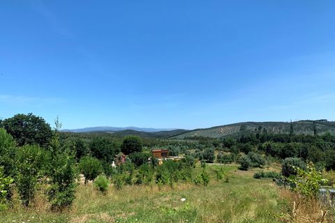 Tomt i Mortagua, Viseu, Mortagua - € 50 000 | Ref: CB05-54 - foto 3