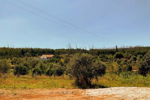 Tomt i Mortagua, Viseu, Mortagua - € 50 000 | Ref: CB05-54 - foto 5