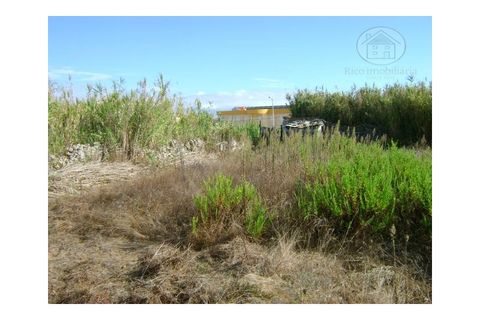 Helårsgrund i Peniche, Leiria, Peniche - € 130.000 | Ref: 778TR - foto 9
