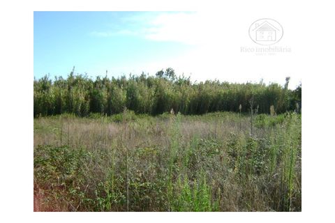 Helårsgrund i Peniche, Leiria, Peniche - € 130.000 | Ref: 778TR - foto 10