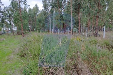 Helårsgrund i Anadia, Aveiro, Anadia - € 32.000 | Ref: TER_1103 - foto 1