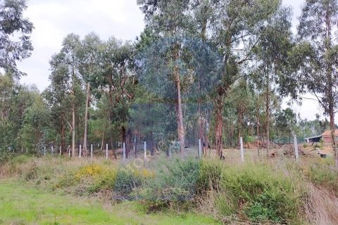 Helårsgrund i Anadia, Aveiro, Anadia - € 32.000 | Ref: TER_1103 - foto 2