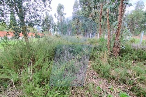 Helårsgrund i Anadia, Aveiro, Anadia - € 32.000 | Ref: TER_1103 - foto 3