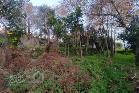 Helårsgrund i Guimaraes, Braga, Guimaraes - € 80.000 | Ref: 207/24 - foto 4