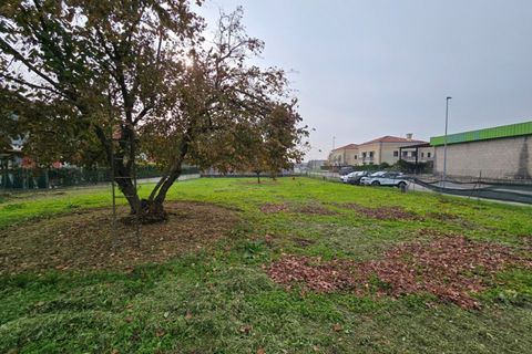 Terra a Fosso, Venice, Fosso - € 158.000 | Ref: vfo0015 - foto 2