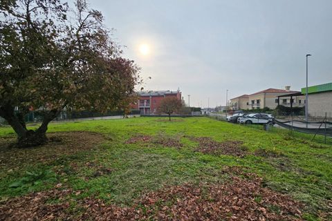Terra a Fosso, Venice, Fosso - € 158.000 | Ref: vfo0015 - foto 4