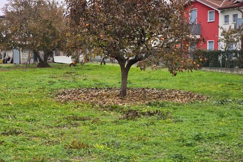Terra a Fosso, Venice, Fosso - € 158.000 | Ref: vfo0015 - foto 10