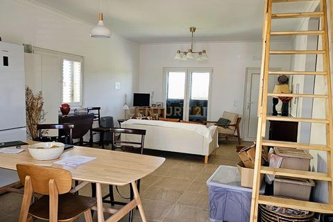 Villa i Gloria do Ribatejo, Santarem, Gloria do Ribatejo - € 375.000 | Ref: C0263-01870 - foto 11