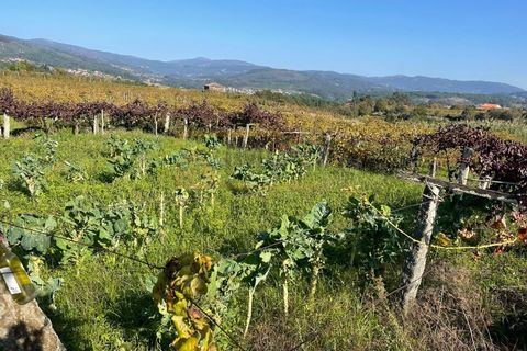 Ruinere i Alvaredo, Viana do Castelo, Alvaredo - € 25.000 | Ref: REF515 - foto 4