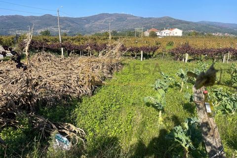 Ruinere i Alvaredo, Viana do Castelo, Alvaredo - € 25.000 | Ref: REF515 - foto 5