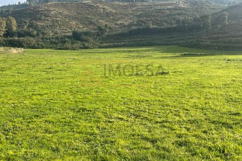 Farm i Moncao, Viana do Castelo, Moncao - € 170.000 | Ref: REF517 - foto 4